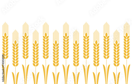 Wheat pattern wallpaper. oat symbol. free space for text. rice sign. Rice pattern wallpaper.