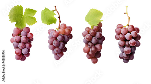 Grape Collection: Realistic 3D Digital Art Illustrations Isolated on Transparent Background, Perfect for Graphic Design Projects and Fresh Fruit Concepts.