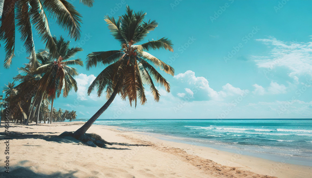 Palm tree on the beautiful white  beach and blue ocean.