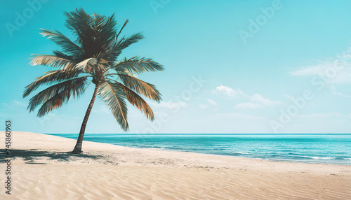 Palm tree on the beautiful white beach and blue ocean.   © Karo