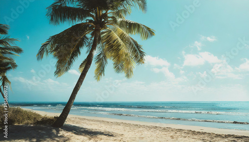 Palm tree on the beautiful white beach and blue ocean. 