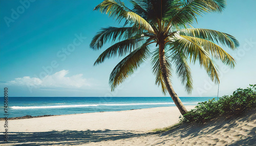 Palm tree on the beautiful white beach and blue ocean.