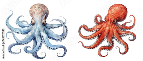 Wallpaper Mural set of octopus clipart on transparent background, sea life creatures in watercolor illustration  Torontodigital.ca