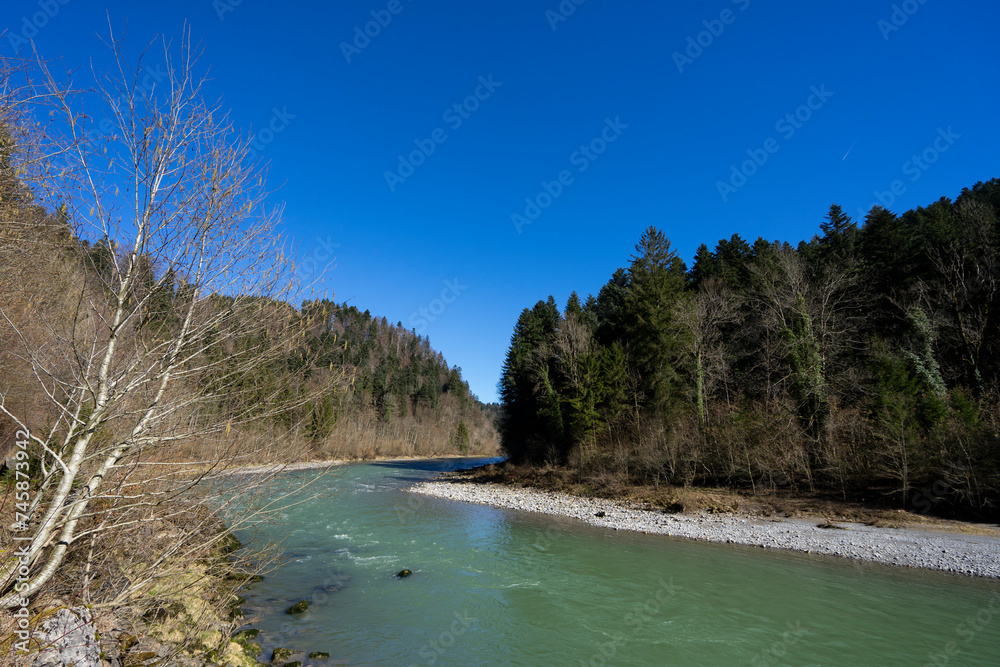 river in the mountains with forest on both sides and blue sky