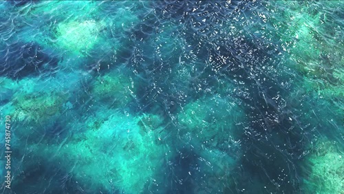 Coral Reef Background, Camera Flies Over the Ocean. Seamless Looping 3D Animation. 4K 3840x2160 photo