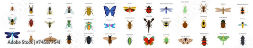 Set of insects flat style design icons photo