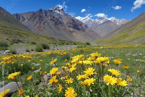 High altitude mountain landscape with wildflowers blooming in the foreground offering a stunning contrast against the rugged peaks and clear blue sky