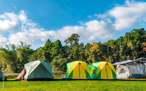 Camping amidst mountains under the pine forest and forest scenery