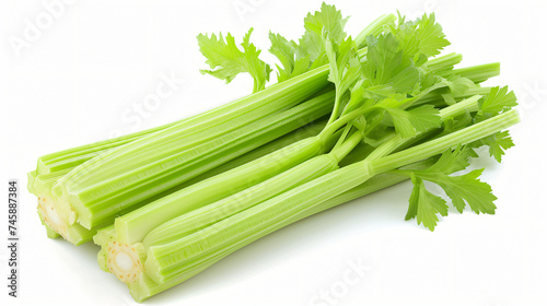 Celery isolated on white background, vegetable.