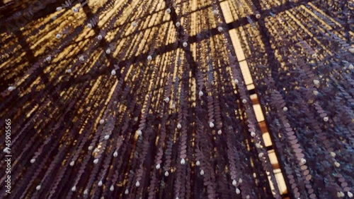 4k, A bottom-up view of the numerous garland necklaces, monisto dangling from the ceiling of the Bab Al Bahrain Bazaar, at daytime, Manama, Bahrain photo