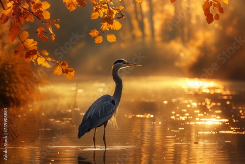 Bird Standing in Body of Water