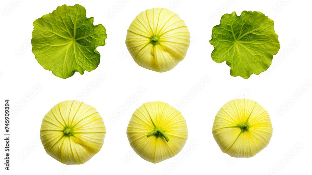 Pattypan Squash Collection: Fresh, Organic Ingredients for Culinary Creations, Isolated on Transparent Background - Ideal for Farm-to-Table Graphics!