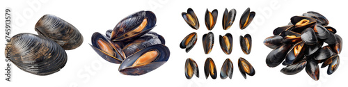 Variety of fresh mussels, both closed and open, showcasing vibrant orange interiors, isolated on a transparent background.