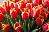 Happy Mother's Day, International Women's Day, Birthday, Valentine's Day. Bunch of tulip flowers as present