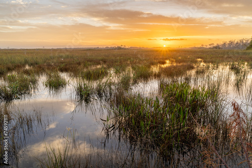 Sawgrass and marsh ignite under the brightness of the rising sun, Pa Hay Okee view area, Everglades National Park, Florida