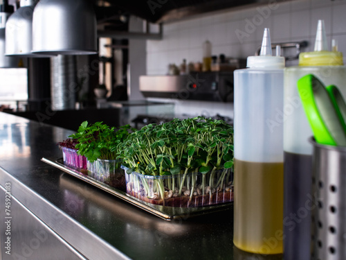 Spicy herbs in the restaurant kitchen