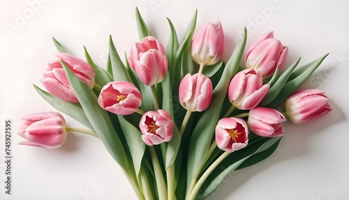 Bouquet of pink tulips on a white background