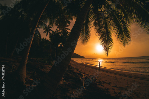 sunset sunrise in the caribbean beach