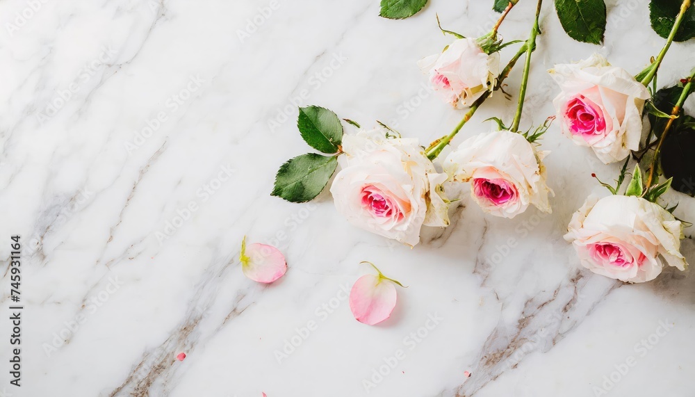Roses scattered on a white Carrara marble, emphasizing contrast and elegance. Valentines, mothers day Roses scattered on a white Carrara marble, emphasizing contrast and elegance. Valentines, mothers day