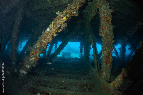 Scuba Diving West Palm Beach and Jupiter Florida. Underwater pictures. 