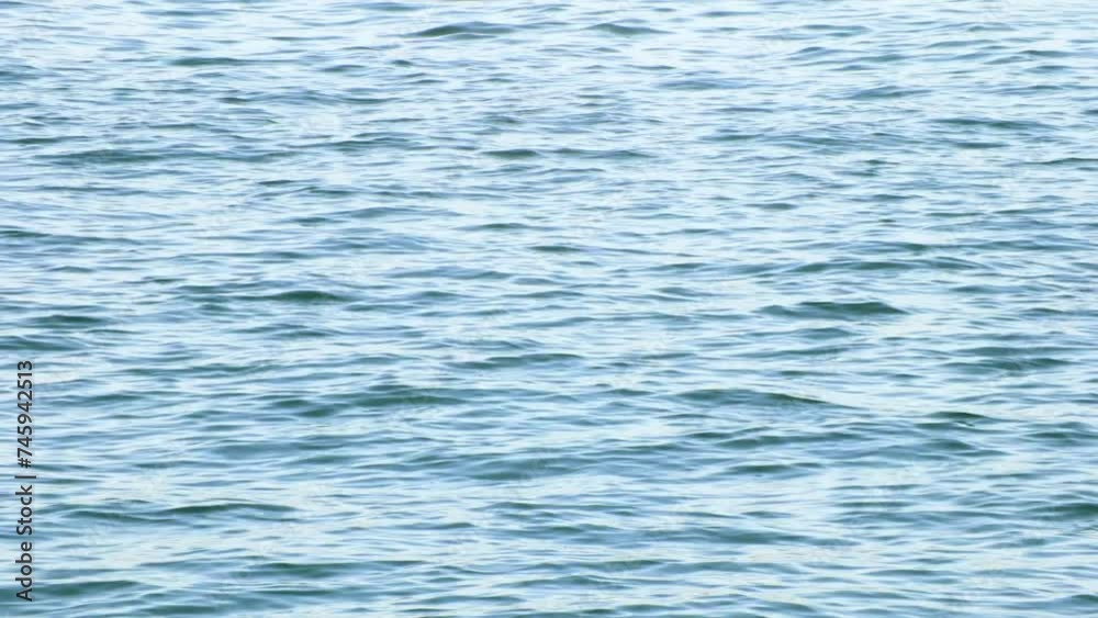 the waves of the blue sea are swaying,
