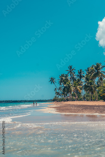 Fototapeta Naklejka Na Ścianę i Meble -  Caribbean bach with coconut house