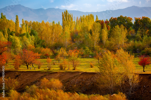 Autumn nature. Beautiful autumn landscape with colorful trees. Red and yellow leaves of trees in the autumn forest on a blurred background.