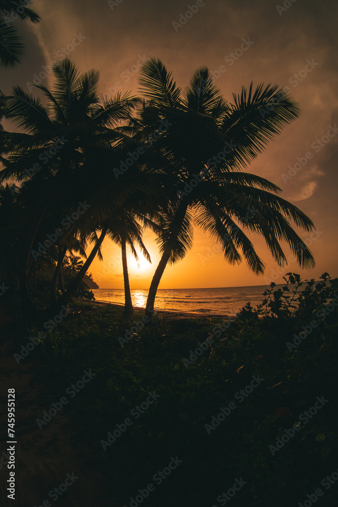 sunset sunrise in the caribbean beach