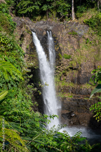 Vertical view of Rainbow Falls in Hilo on the eastern Big Island of Hawaii
