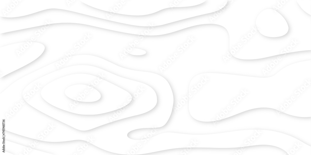 Abstract paper carve template. abstract white and gray 3d papercut topography relief vector background illustration. topographic canyon geometric map relief texture with curved layers and shadow. - obrazy, fototapety, plakaty 