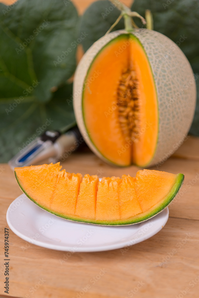piece of fresh orange melon on the plate piece of fresh orange melon on the plate