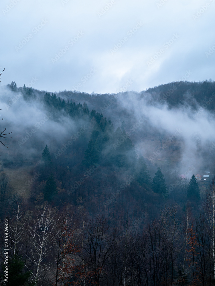 Misty Carpathian Mountains fog clouds landscape. Foggy atmospheric morning green fir trees Scenic forest rainy day. Calm tranquil Carpathians summit wood, Ukraine Europe travel. Eco Tourism Recreation
