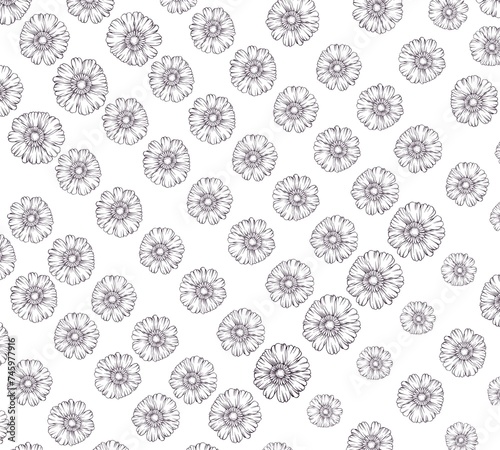 Hand drawn seamless vector pattern with daisy flowers. Seamless pattern with daisy flowers