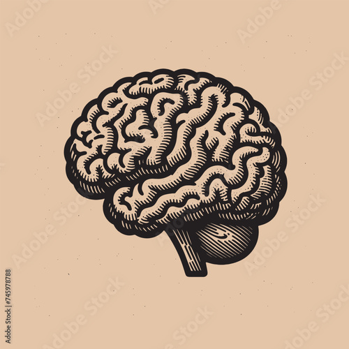 Human brain. anatomy. Old vintage engraving illustration. Hand drawn outline graphic. Logo, emblem, icon. Isolated object, cut out. black and white	