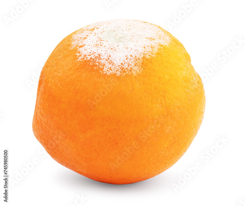 Fresh and damaged tangerine isolated on white background