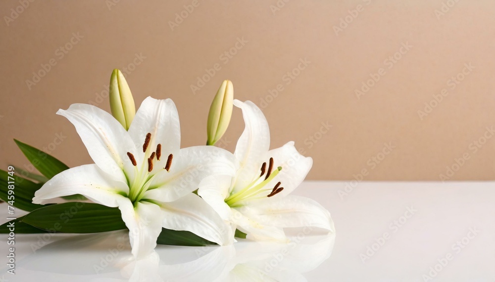 Cross with White Lilies - Background for Christianity - Symbolism for Mourning or Funeral - Crucifixion of Jesus Christ Cross with White Lilies - Background for Christianity - Symbolism for Mourning or Funeral - Crucifixion of Jesus Christ