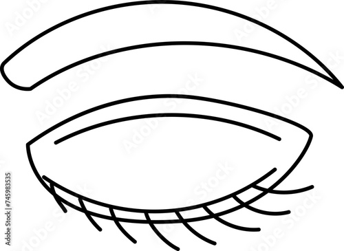 Eyebrow Illustration