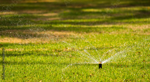 Water sprinkler in the park