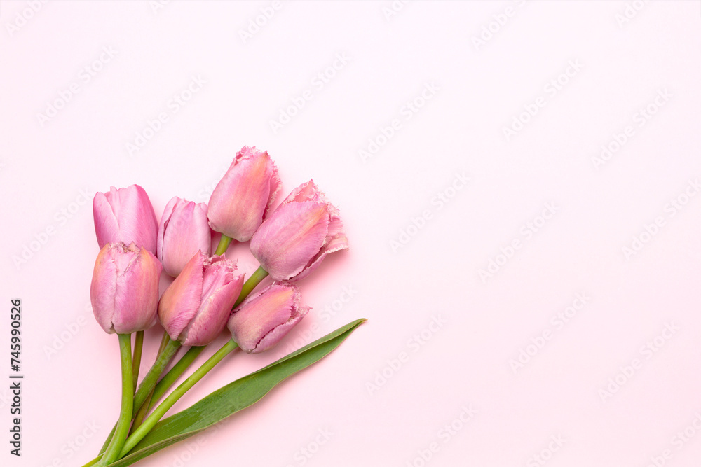 Bouquet of tulip flowers on a pink background. Place for text. Bouquet of tulip flowers on a pink background. Place for text.