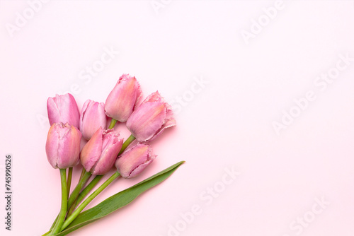Fototapeta Naklejka Na Ścianę i Meble -  Bouquet of tulip flowers on a pink background. Place for text.
