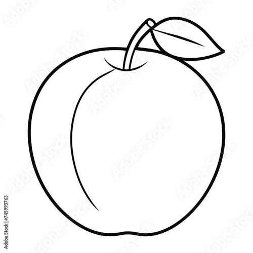 Vector of plum illustration coloring page for kids
