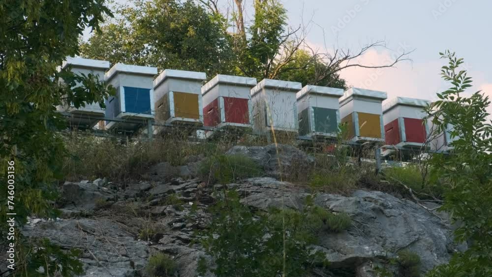 Apiary with wooden beehives and flying honey bees. Many hives for collecting nectar by bees in Montenegro. Beekeeping concept. Apicultural field Apiary with wooden beehives and flying honey bees. Many hives for collecting nectar by bees in Montenegro. Beekeeping concept. Apicultural field