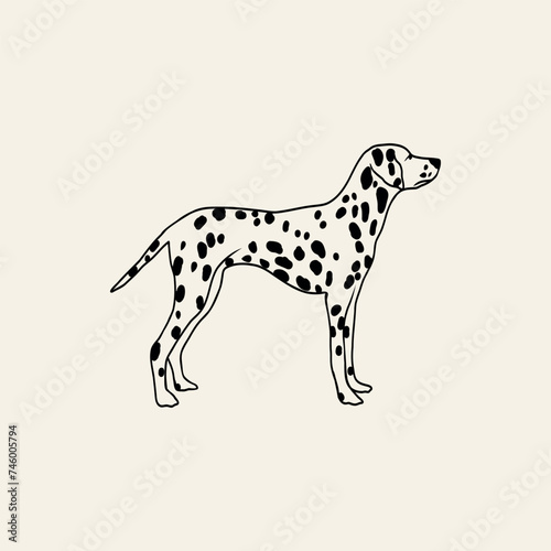 Line art Dalmatian dog illustration