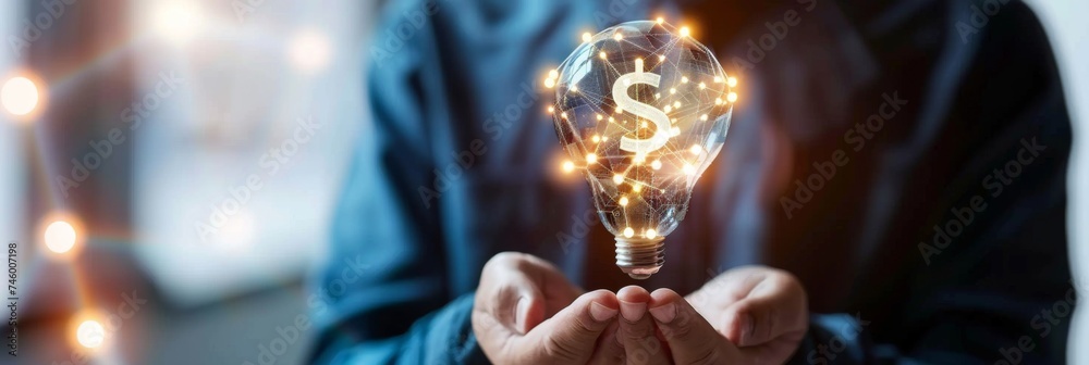 Lightbulb with glowing dollar sign - A concept image showing a glowing lightbulb with a dollar sign representing financial ideas and strategies
