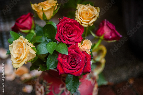 Yellow and Red Roses