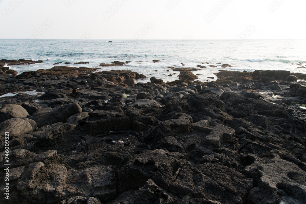 View of the seaside with rocks