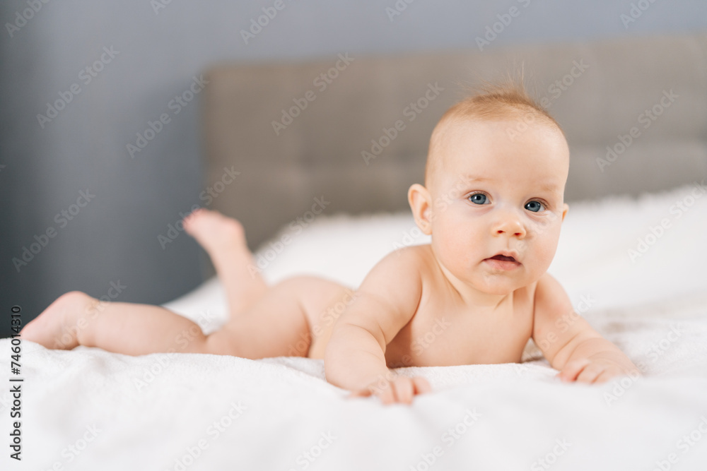 Closeup portrait of calm adorable infant baby lying on bedroom bed, enjoying morning relaxation indoor at home, looking at camera. Carefree healthy babyhood, healthcare and pediatrics care concept. Closeup portrait of calm adorable infant baby lying on bedroom bed, enjoying morning relaxation indoor at home, looking at camera. Carefree healthy babyhood, healthcare and pediatrics care concept.
