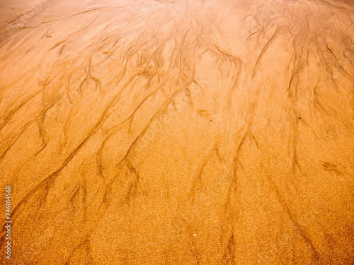Abstract desert patterns resembling tree branches photo
