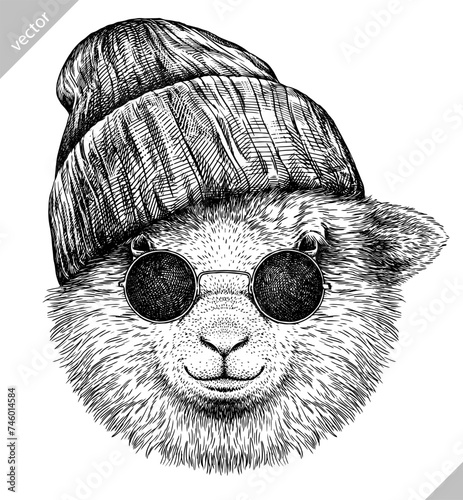 Vintage engraving isolated lamb glasses dressed fashion set illustration ram ink sketch. Farm animal sheep background mutton silhouette sunglasses hipster hat art. Hand drawn vector image