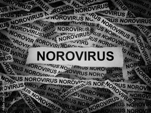 Strips of newspaper with the words Norovirus typed on them. Black and white. Close up.